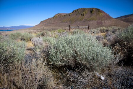 Nevada mountain