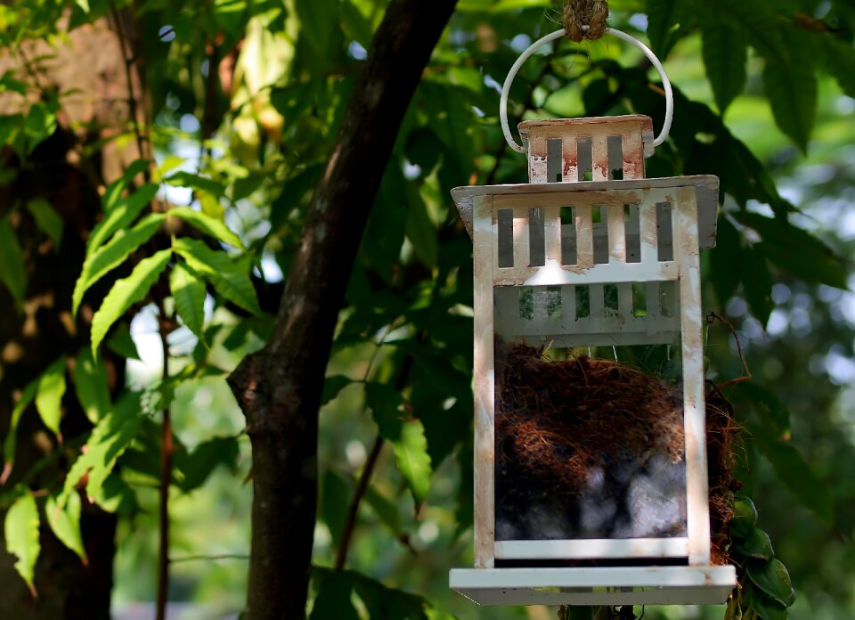 Hanging container