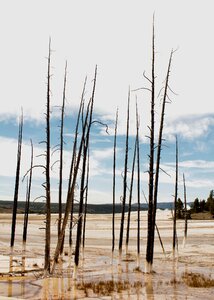 Mood landscape usa
