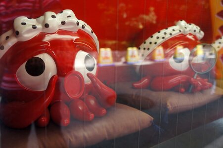 Japan octopus red