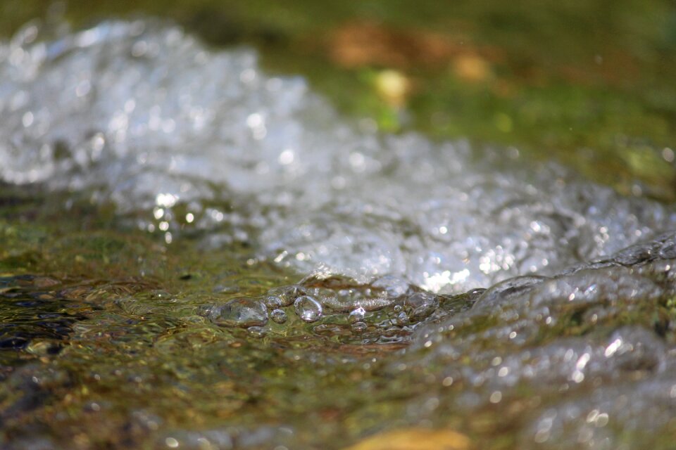 River nature