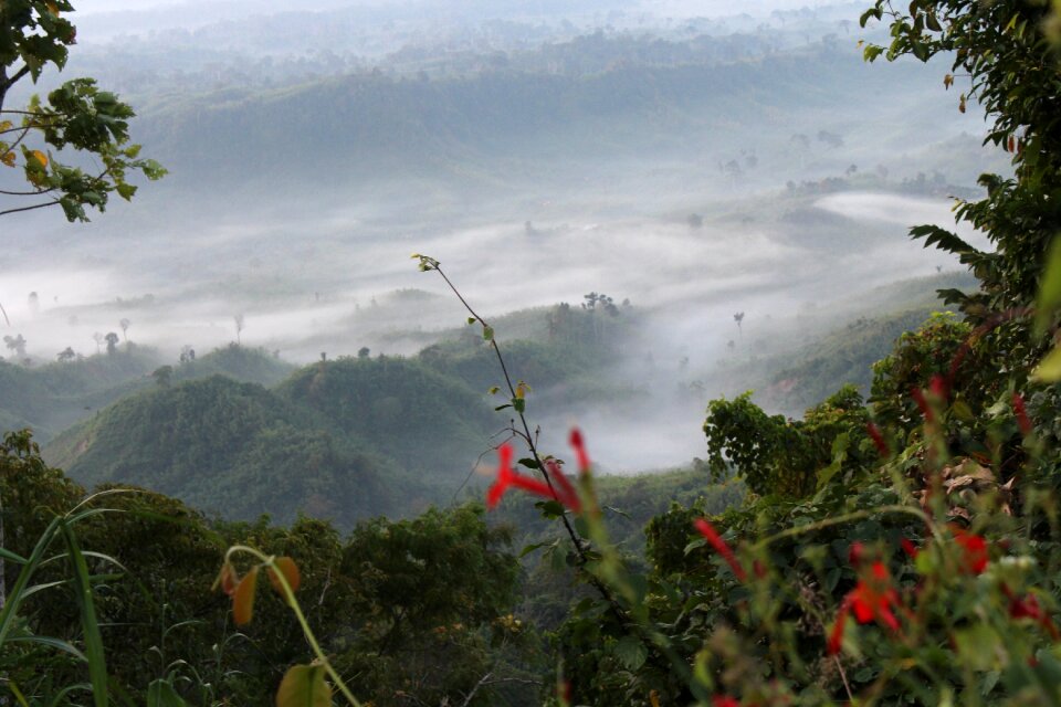 Sajek valley bangladesh