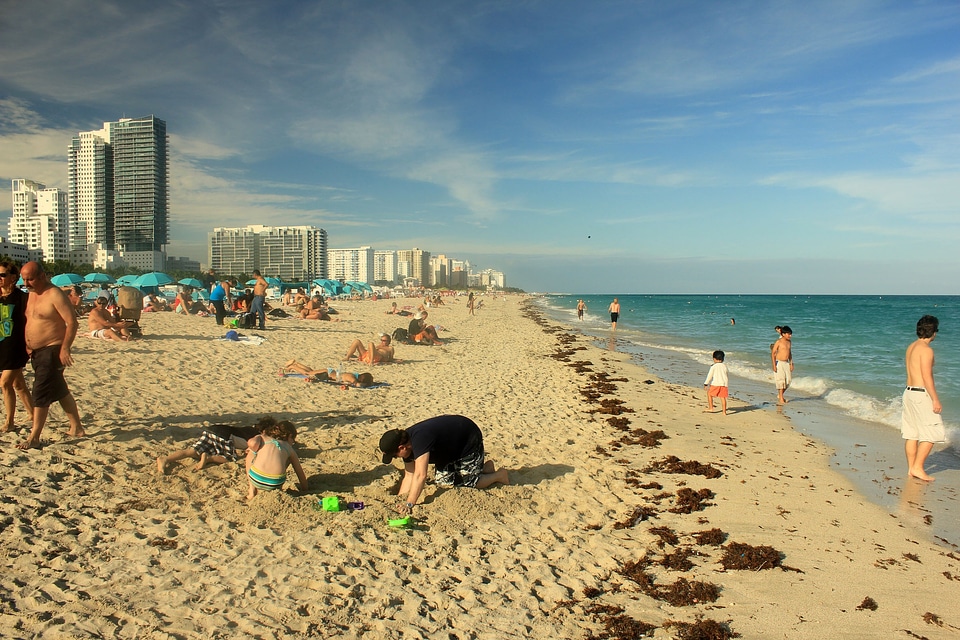 Florida atlantic shoreline