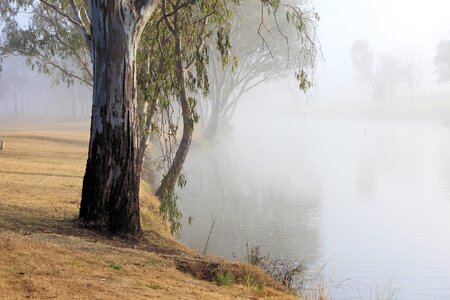 Mist landscape reflection photo