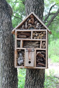 Garden nature shelter