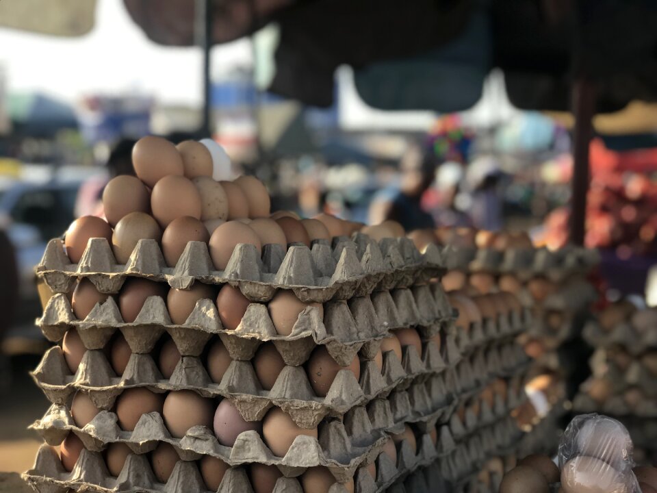 Chicken protein ghana