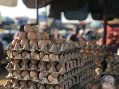 Chicken protein ghana