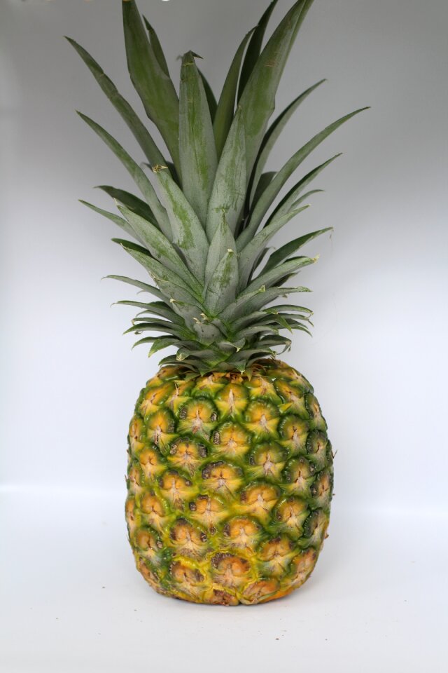 Exotic pineapples natural
