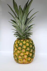 Exotic pineapples natural