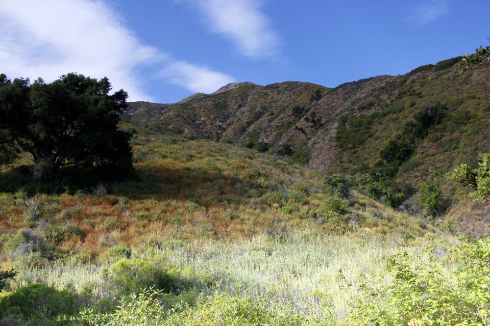 Nature landscape usa