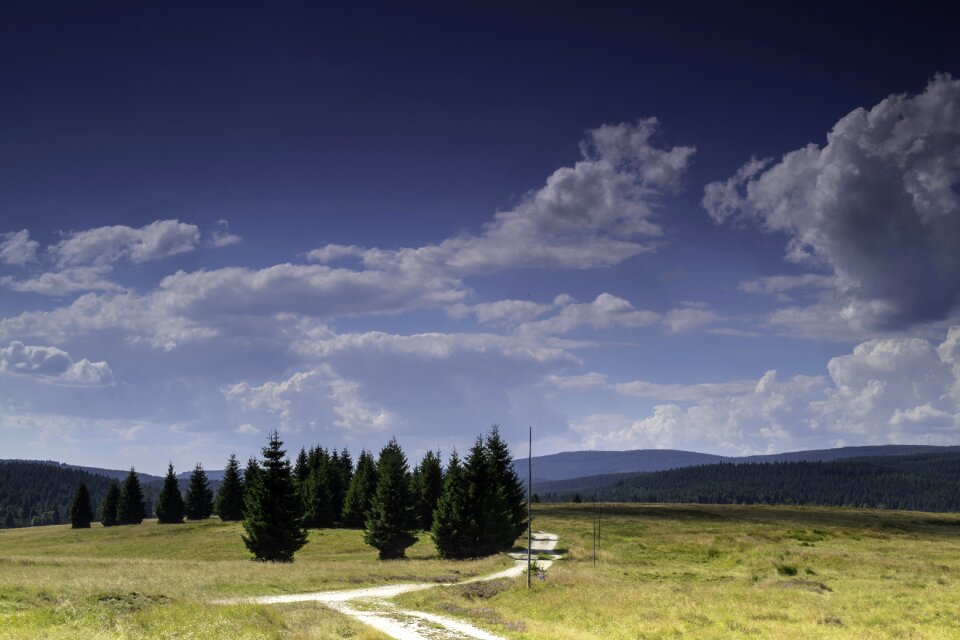 Way meadow sky