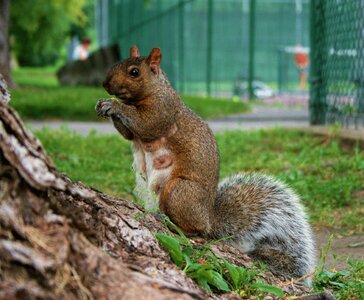 Nature female cute