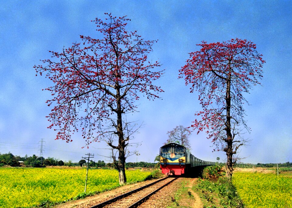 Landscape blue train