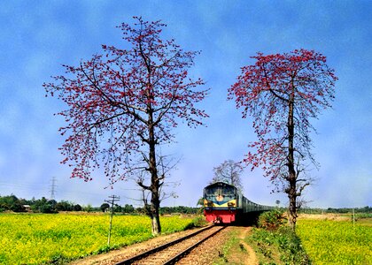 Landscape blue train