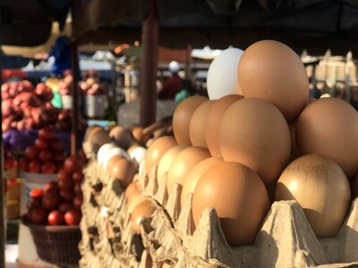 Omelette crates ghana photo