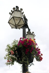 Lighting column colors photo