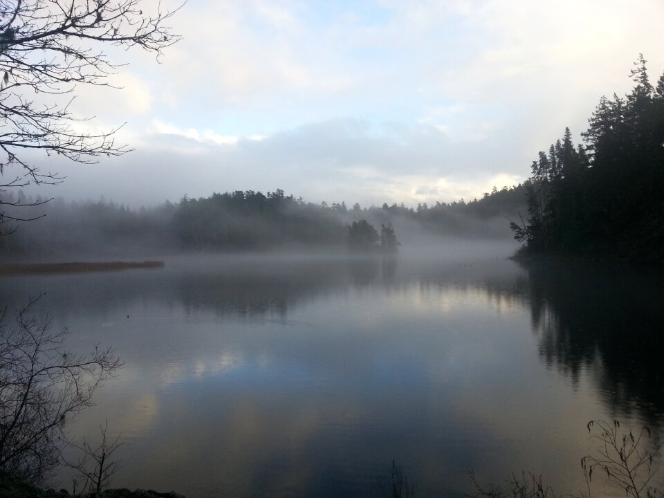 Fog atmospheric outdoors
