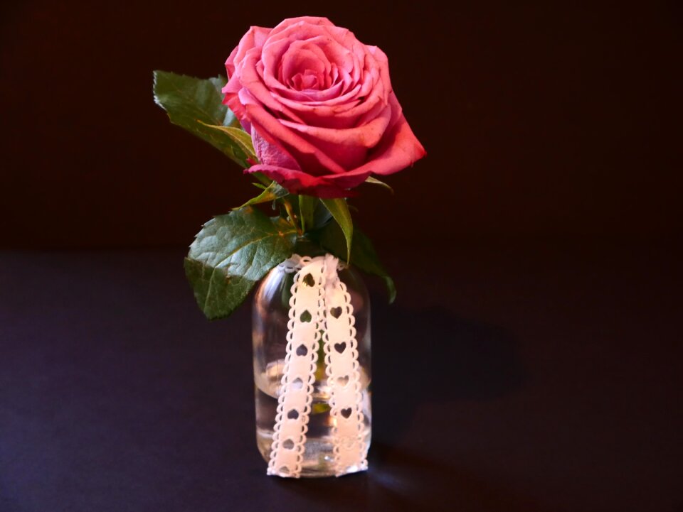 Flower romantic love