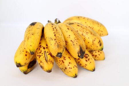 Bananas fruit tropical photo