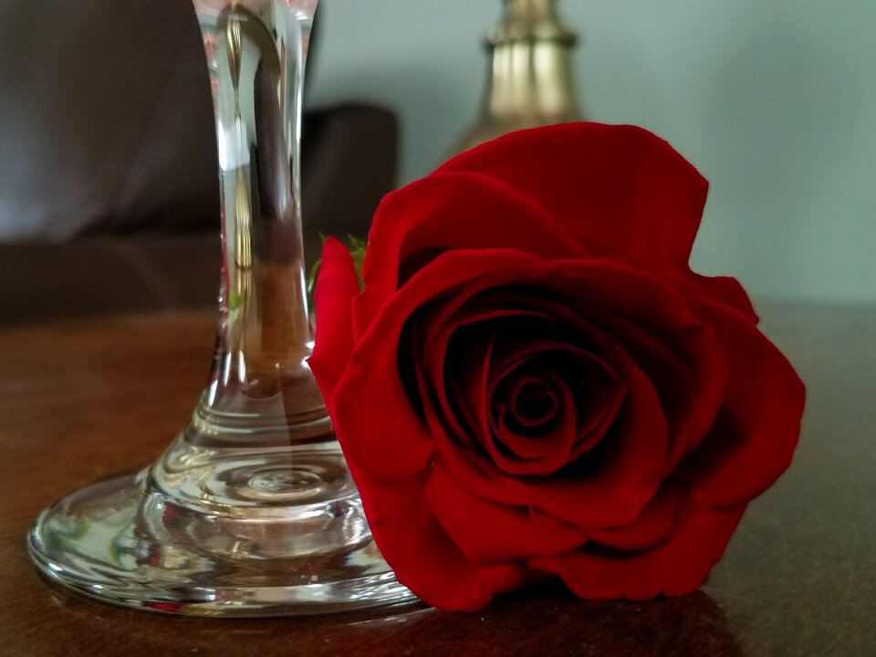 Wine glass celebration christmas