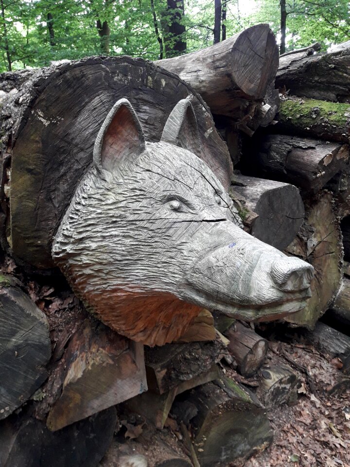 Sculpture wood forest