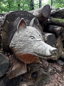 Sculpture wood forest