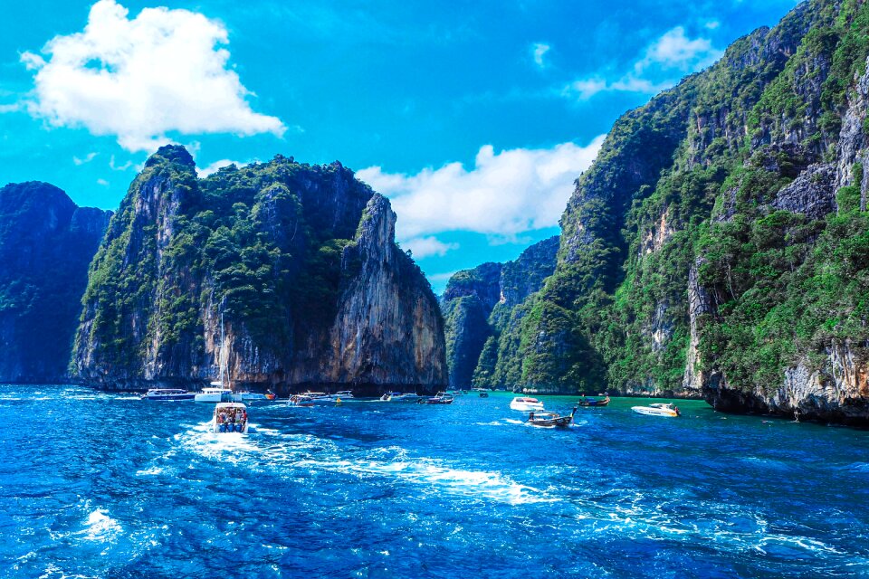 Water landscape summer