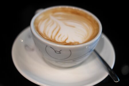 Cup cafe milk photo
