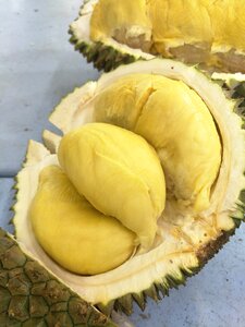 Fruit durian tropical fruit