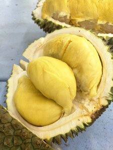 Fruit durian tropical fruit photo