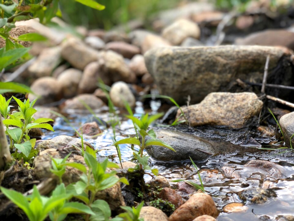 River rock