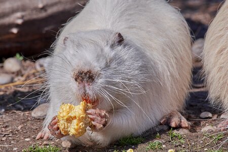 Food feed cute