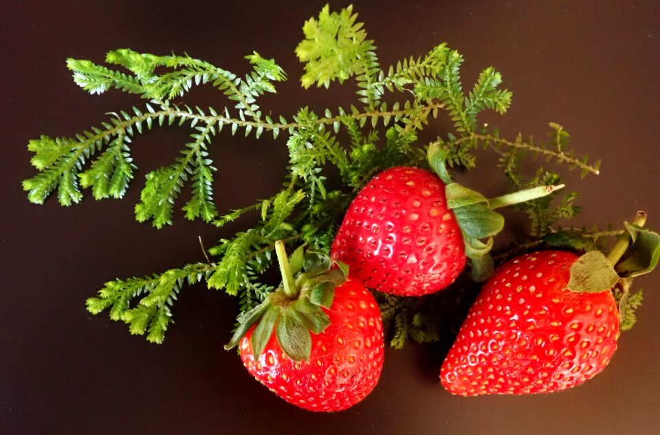 Food sweet healthy