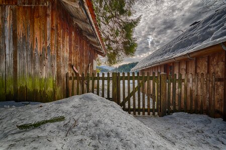 Winter bavaria sun