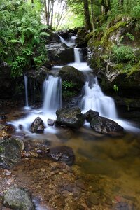 Idyllic green nature photo