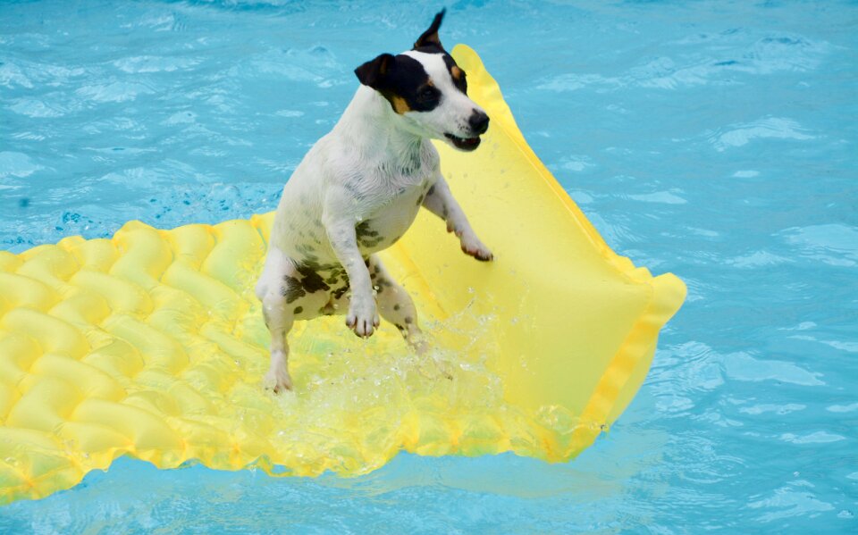 Mattress swimming pool summer jump