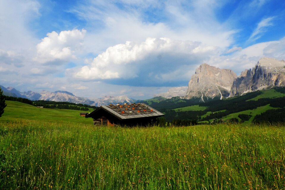 Alm alpine landscape