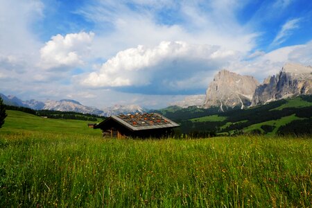 Alm alpine landscape photo