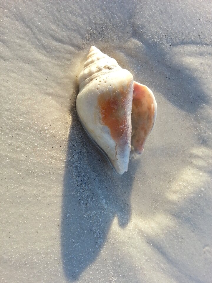 Beach sand