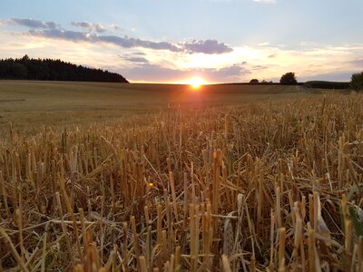 Rural field landscape photo