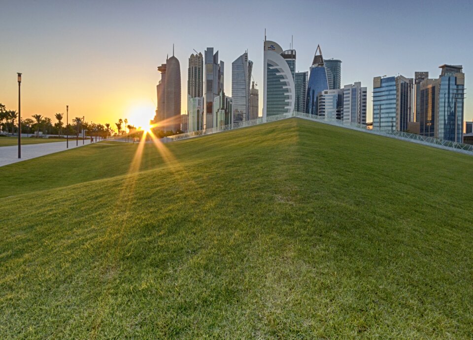 Sunset green grass grass