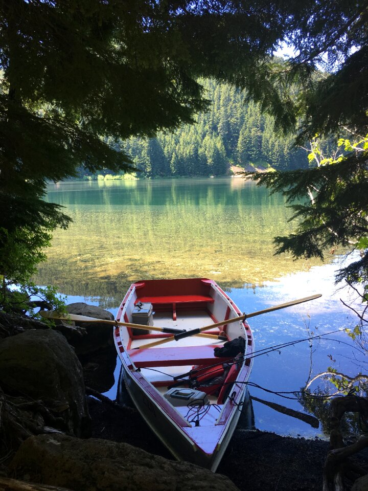 Nature water calm