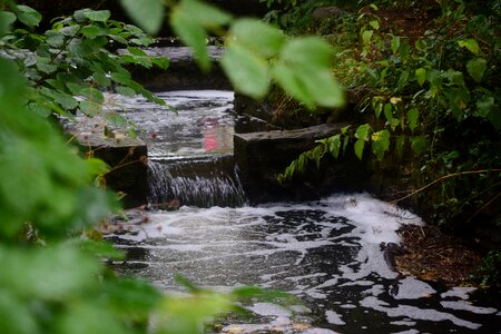 Nature stream cascade photo