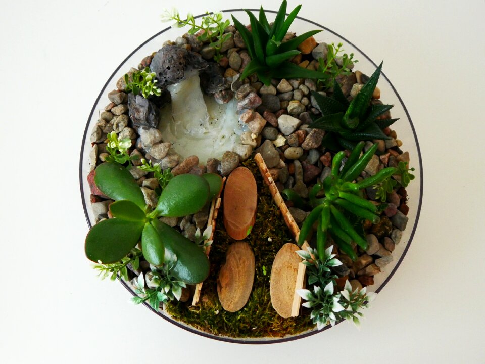 Grows decoration close up