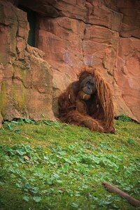 Zoo wild safari