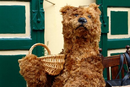 Teddy bear stuffed animal cute
