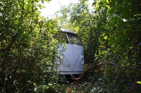 Oldtimer classic overgrown photo