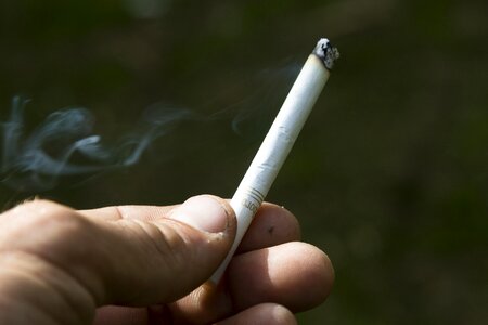 Tobacco nicotine