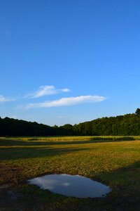 Park trees woods photo