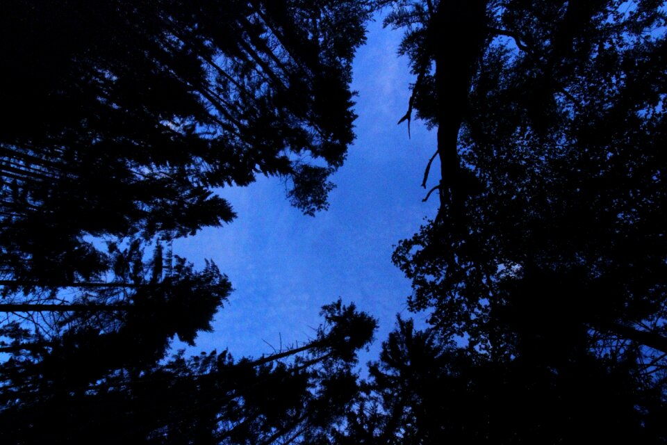 Darkness creepy mood